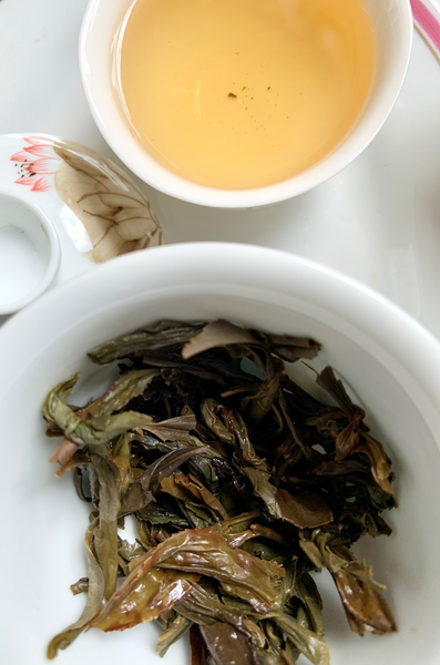 Phoenix Dancong Oolong Tea | 鳳凰單欉