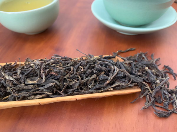 Vintage Lincang Raw Pu-erh Tea | 臨滄普洱生茶